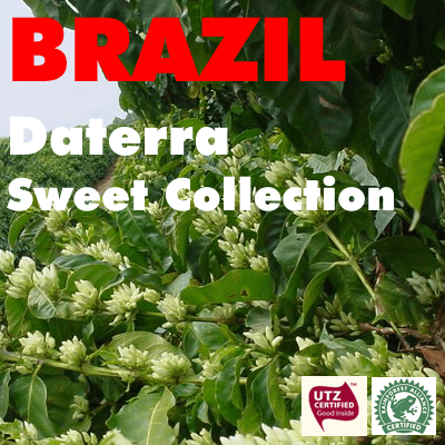 Brazil Daterra RFA 'Sweet Collection' (green)