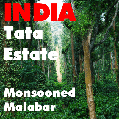 India Tata Estate Monsoon Malabar (green)