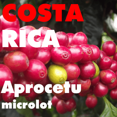 Costa Rica Aprocetu Natural Microlot (green)