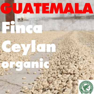 Guatemala Finca Ceylan Organic SHB (green)