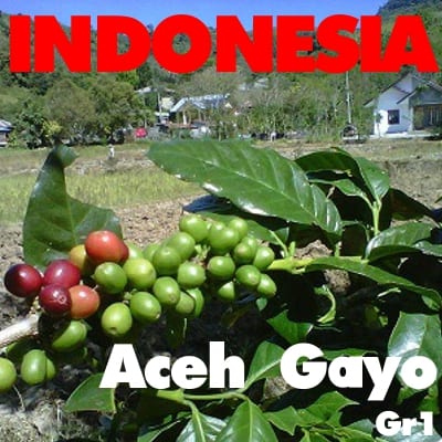 Indonesian Aceh Gayo Gr1 (green)