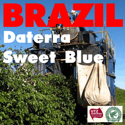 Brazil Daterra RFA Sweet Blue (green)
