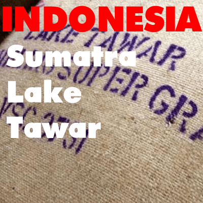 Sumatra Lake Tawar (green)
