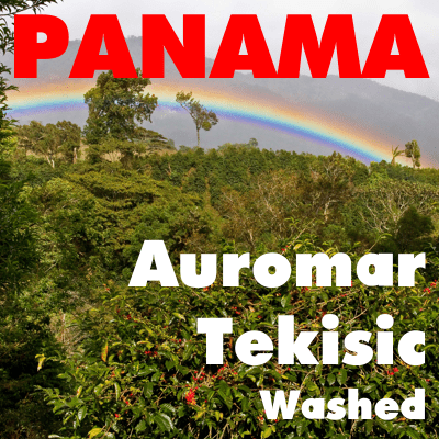 Panama Auromar Tekisic (green)