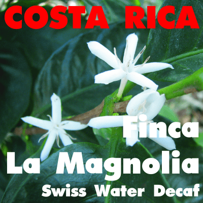 Costa Rica La Magnolia Swiss Water Decaf (green)