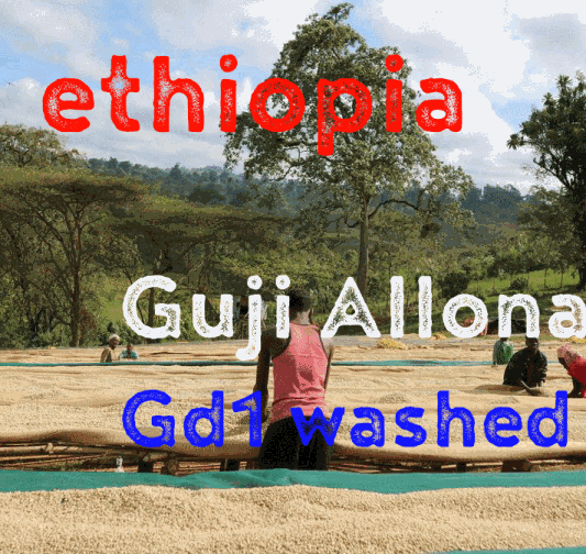 Ethiopia Guji Allona washed Gr1 (green)-0