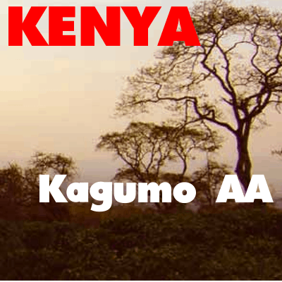 Kenya Kagumo AA (green)