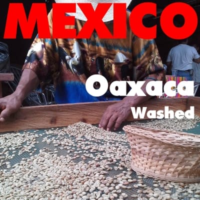 Mexico Oaxaca SHG (green)
