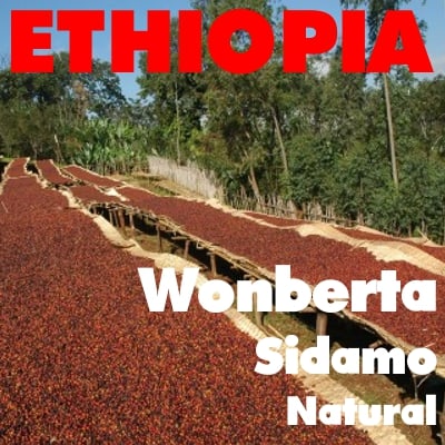 Ethiopia Sidamo Guji Wonberta Natural (green)