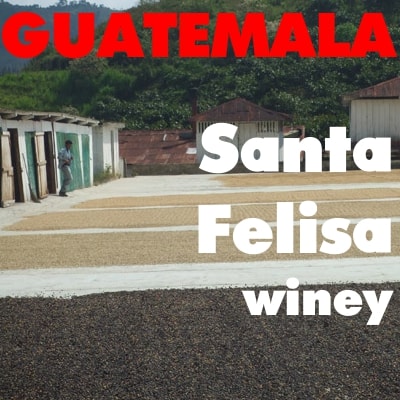 Guatemala Santa Felisa Estate Typica Winey (green)
