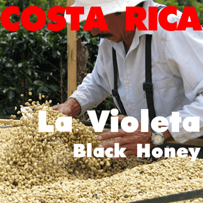 Costa Rica La Violeta Black Honey (green)