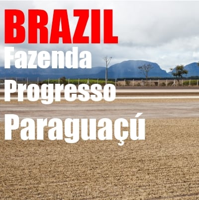 http://ministrygrounds.com.au/media/tmp/catalog/product/b/r/brazil_paraguacu.jpg