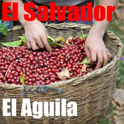 El Salvador El Aguila washed 2017 (green)-0
