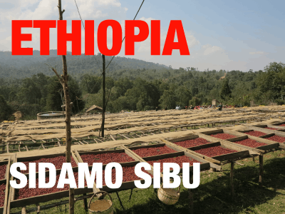 Ethiopia Sidamo Sibu Natural (green)-0