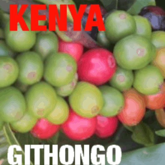 Kenya Kiambu Githongo AB Washed 2016 (green)-0
