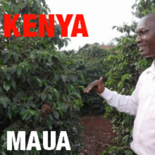 Kenya Kirinyaga + Kiambu Maua (green)-0
