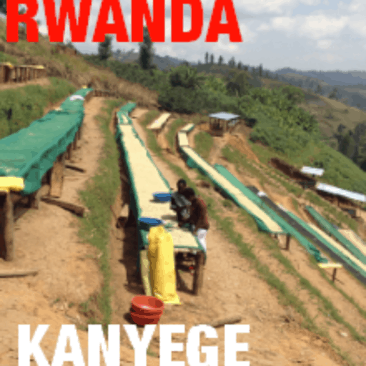 Rwanda Kanyege (green)-0