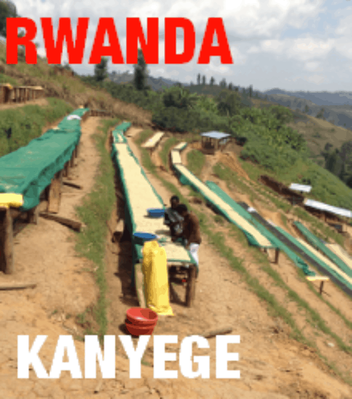 Rwanda Kanyege (green)-0