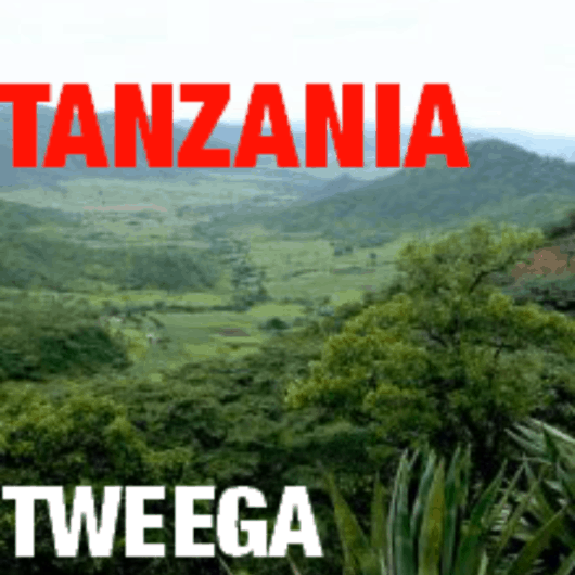 Tanzania Tweega AB Washed 2015 (green)-0