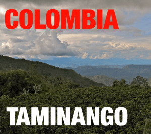 Colombia Taminango Excelso (green)-0