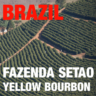 BRAZIL FAZENDA SERTÃO YELLOW BOURBON NATURAL (green)-0