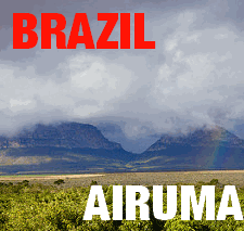 Brazil Airuma (Green)-0