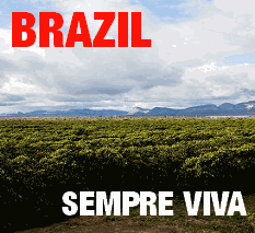 Brazil Sempre Viva (Green)-0