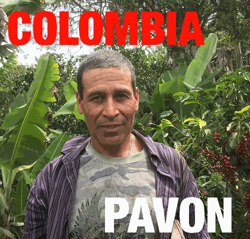 Colombia Pavon (green)-0