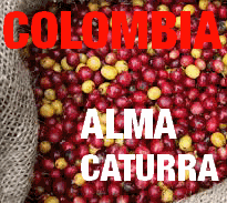Colombia Alma Caturra (green)-0