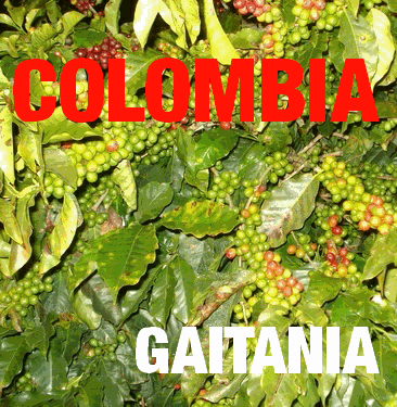 Colombia Gaitania Organic (green)-0