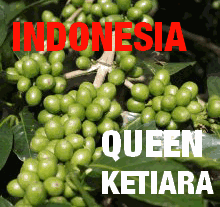 Indonesia Queen Ketiara Organic Wet-Hulled (green)-0