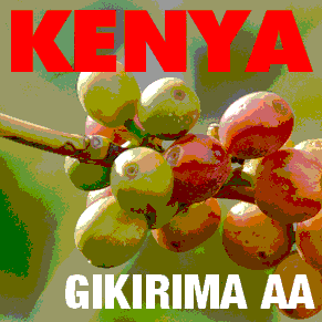 Kenya Gikirima AA (green)-0