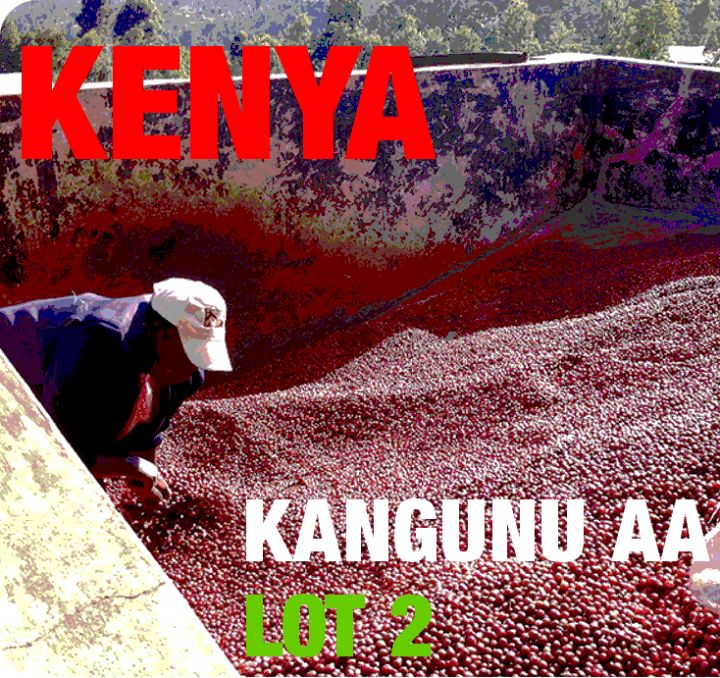 Kenya Kangunu AA Lot 2 (green)-0