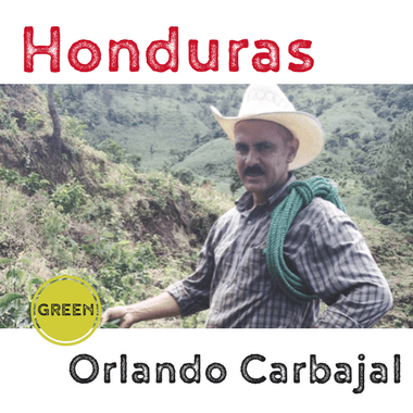 Honduras Orlando Carbajal - Washed (green)-0