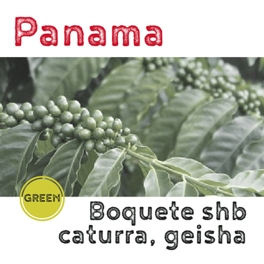 Panama Boquete SHB (green)-0