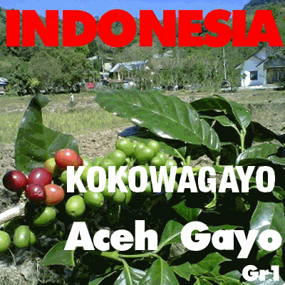 Indonesian KOKOWAGAYO Organic (green)-0