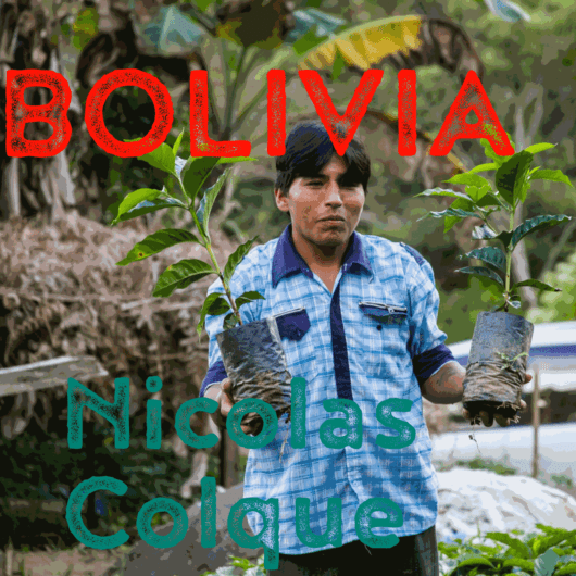 Bolivia Nicolas Colque Organic (green)-0