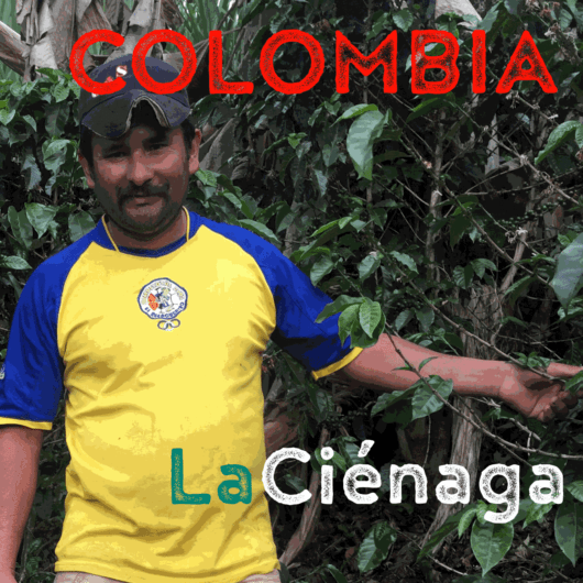 Colombia La Ciénaga (Albeiro Gonzalez) (green)-0