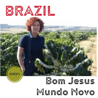 Brazil Fazenda Bom Jesus (Green)-0