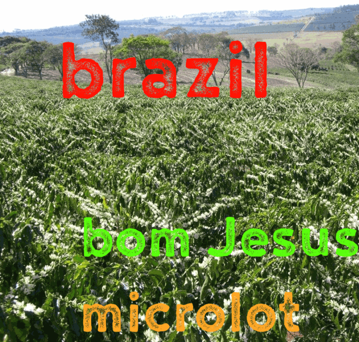 Brazil Bom Jesus MICROLOT (Green)-0