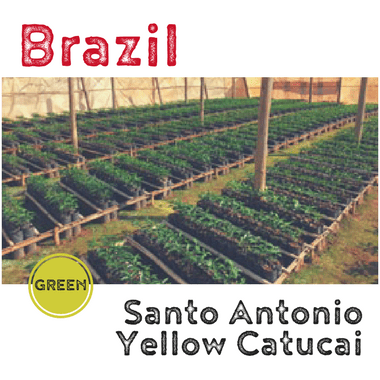 Brazil Santo Antonio (Green)-0