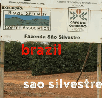Brazil Sao Silvestre (Green)-0