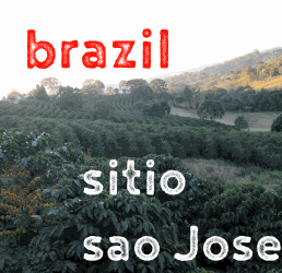 Brazil Sitio Sao Jose (Green)-0