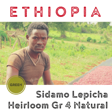 Ethiopia Sidamo Kebado Lepicha Grade 4 Natural (green)-0