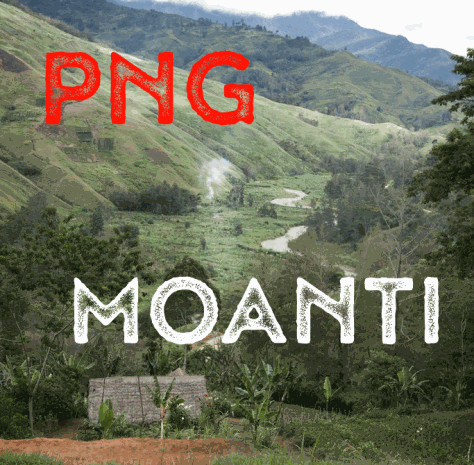 PNG Moanti Blue Mountain + Arusha Washed (green)-0
