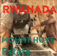 Rwanda Mount Huye Estate - fully washed (green)-0