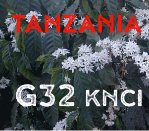 Tanzania G32 KNCI 2017 (green)-0