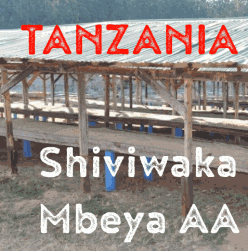 Tanzania Shiviwaka Mbeya AA Top 2017 (green)-0