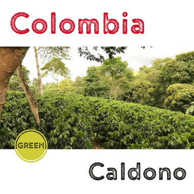 Colombia Caldono (green)-0