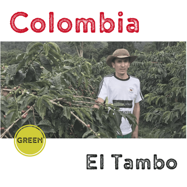 Colombia Norbey Quimbayo TABI (green)-0
